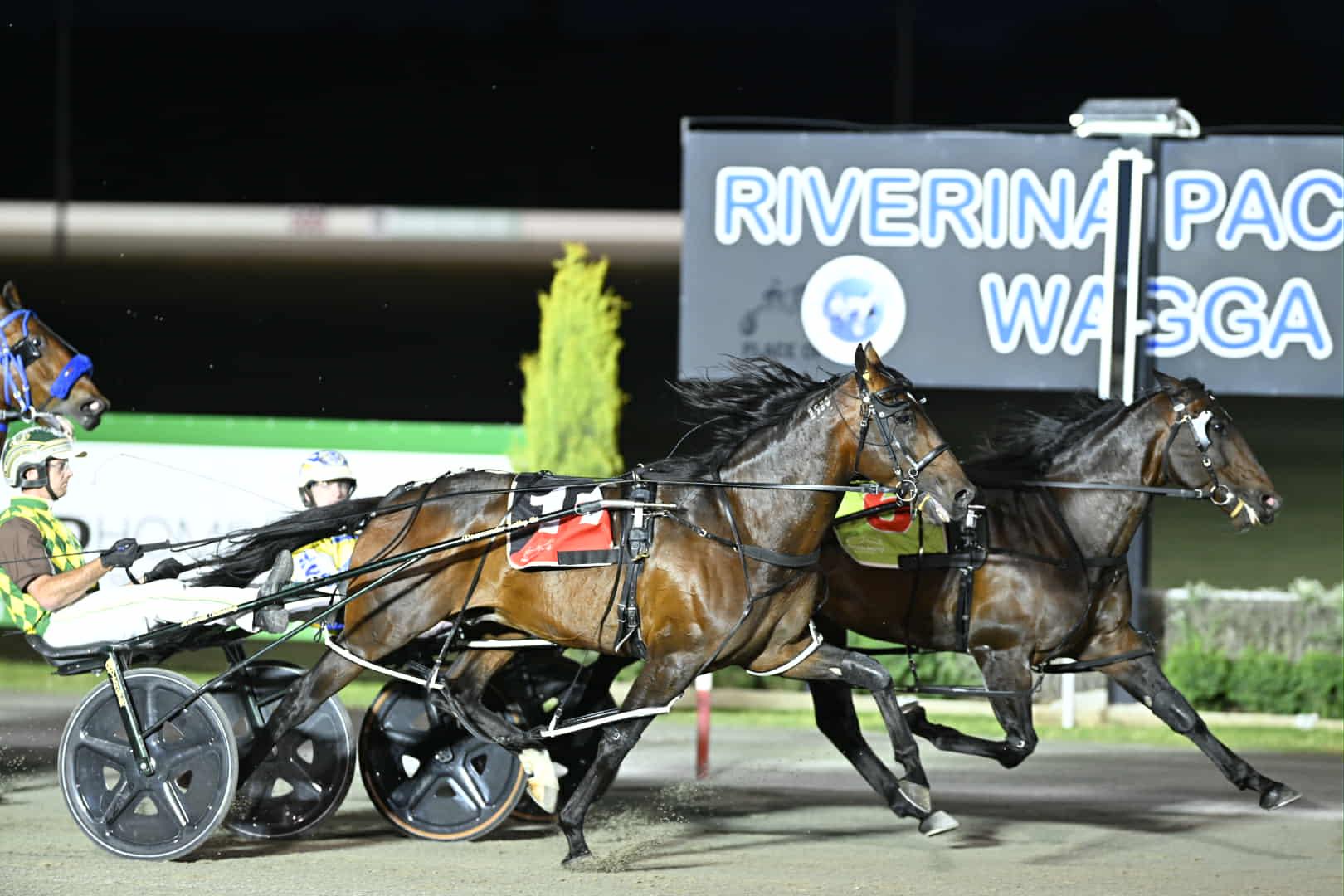 Captains Knock to take next step towards $1million Carnival Of Cups bonus