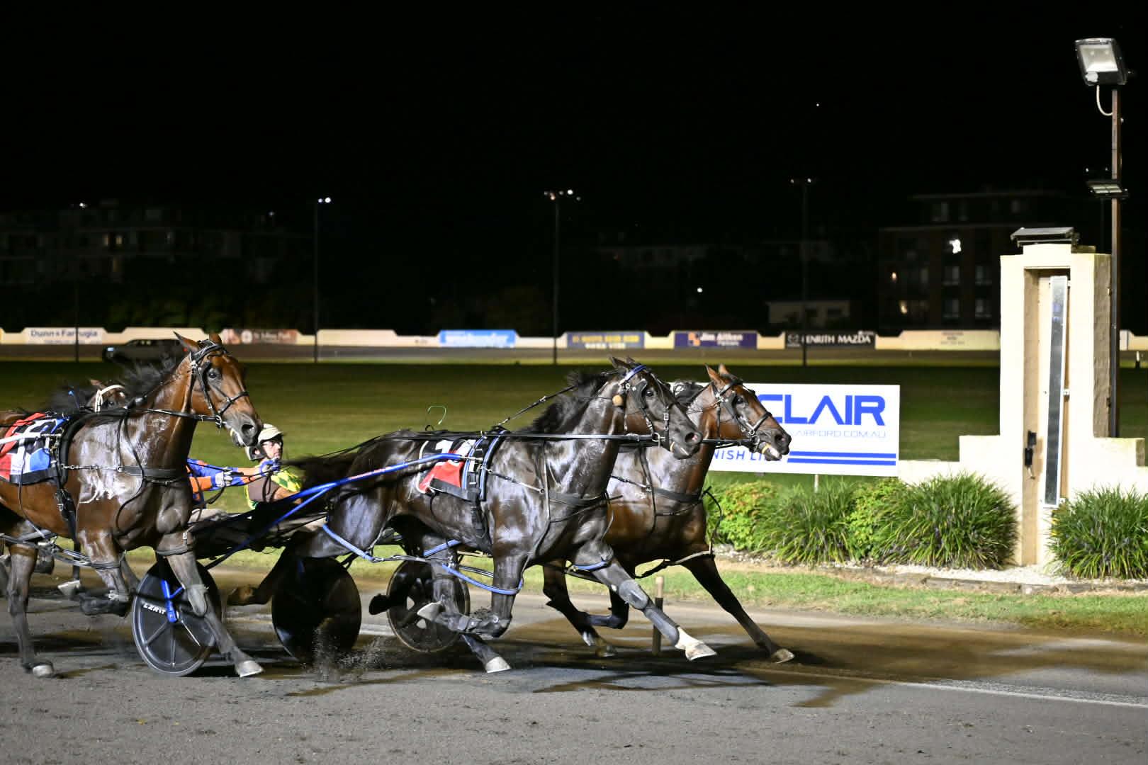 Ubetcha Tigerpie spoils Captains Knock’s $1million dream in Renshaw Cup